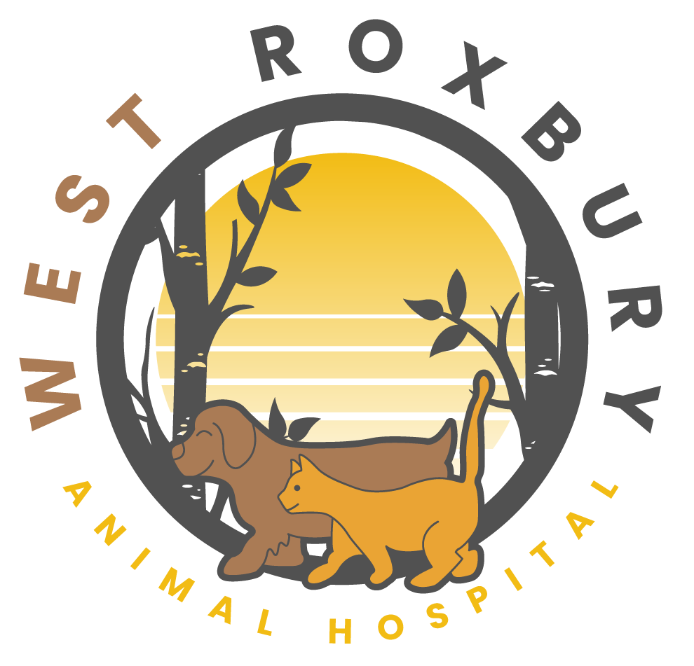 West Roxbury Animal Hospital